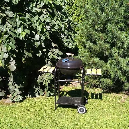 Elzbieta Villa Cracovie